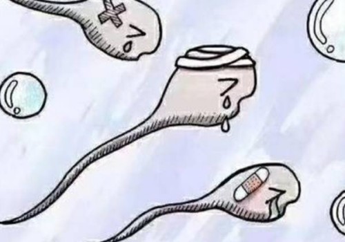 做试管婴儿需要哪些条件，无排卵可以做试管婴儿吗