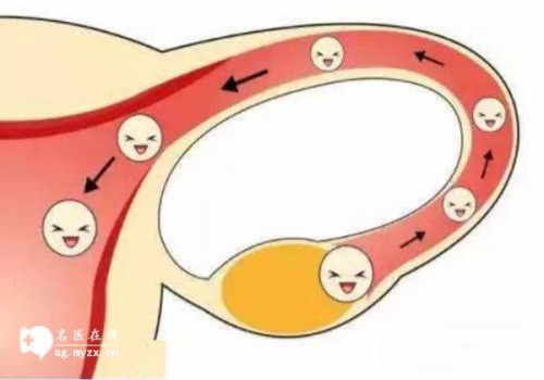 着床期能泡脚吗?这些好处你可能不知道